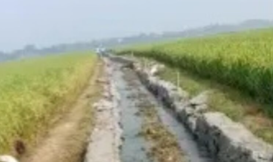 Parah !!! Proyek Kegiatan Saluran Irigasi (Lining), Diduga Asal Jadi