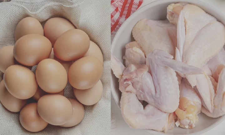 Harga Telur dan Daging Ayam Mendadak Naik, Pemerintah Provinsi Siapkan SPHP Jagung