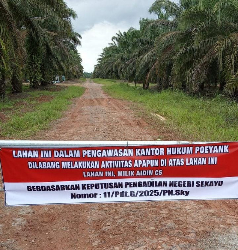 Sengketa 65 Hektar Lahan Sawit di Sekayu, PT Pinago Utama Ajukan Tawaran Ganti Rugi