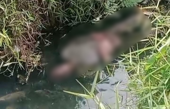 Warga Tambelang Digegerkan Adanya Mayat Lansia di Kali Sukawangi, Polisi Pastikan Tidak Ada Tanda Kekerasan