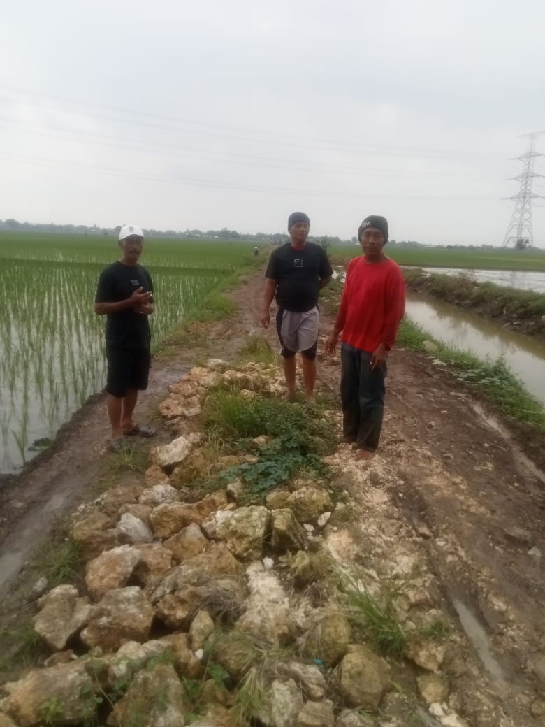 Akses Ekonomi Terhambat, Warga dan Petani Mekarjaya Keluhkan Kerusakan Jalan Kapuk